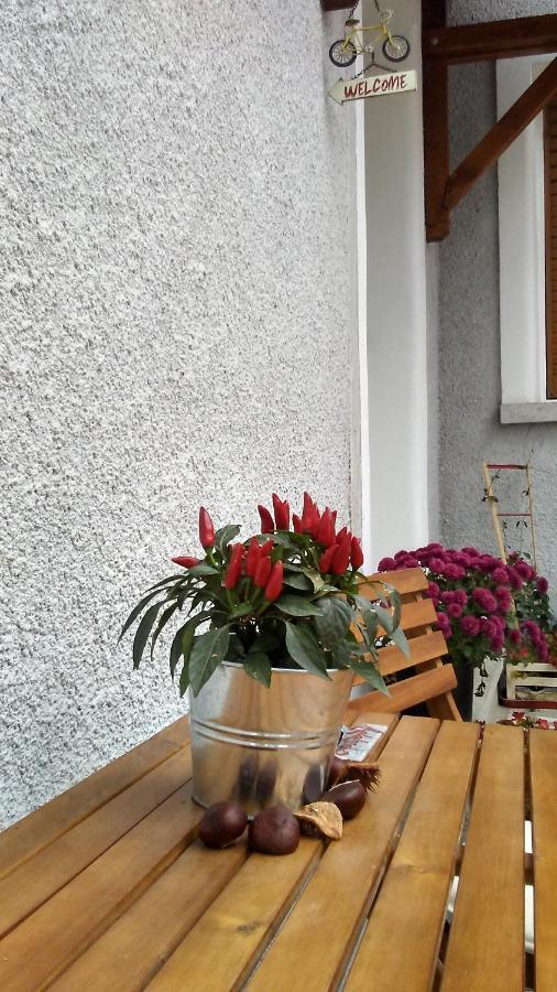 B Apartments - Bike Apartment Timisoara Ngoại thất bức ảnh